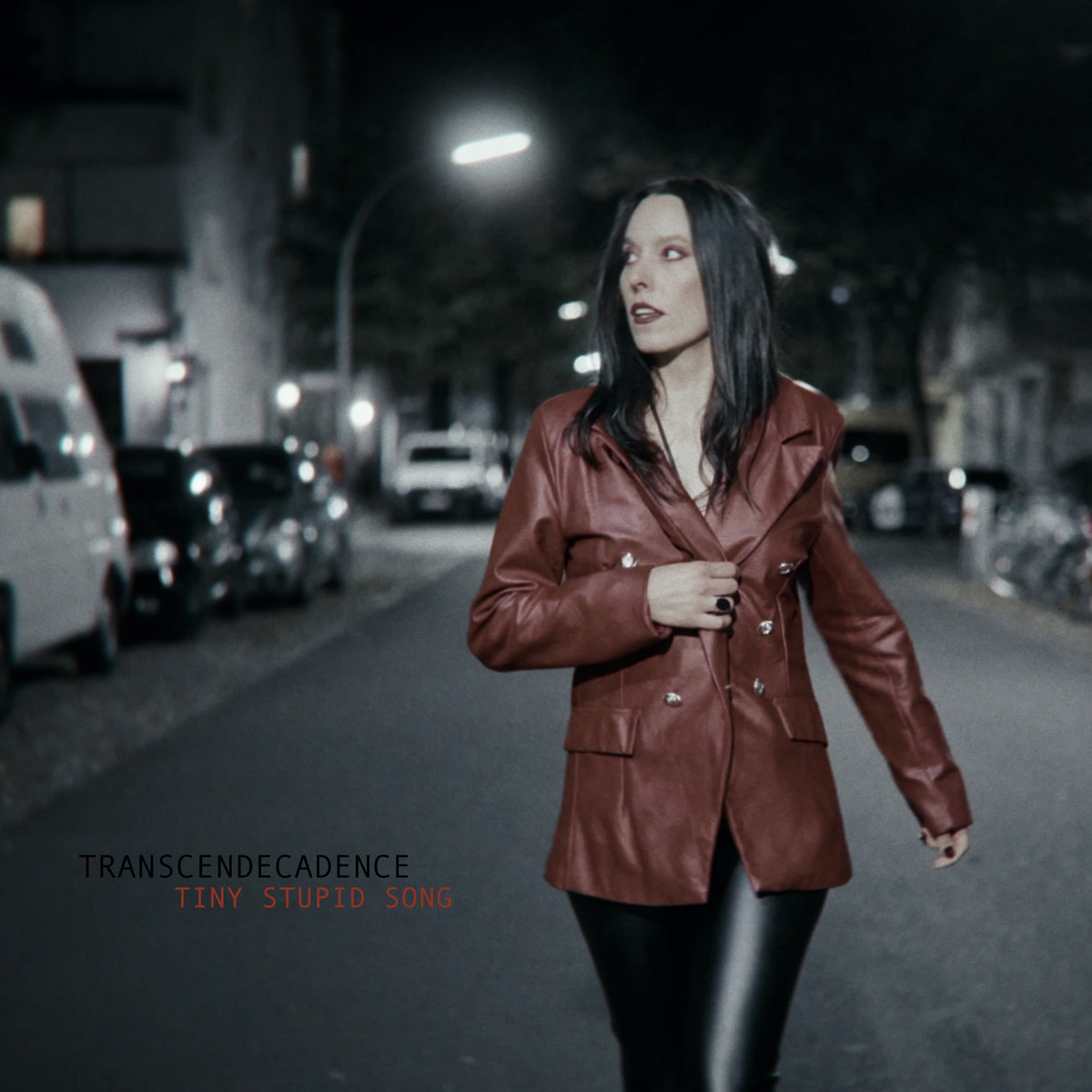 TRANSCENDECADENCE Tiny Stupid Song cover art